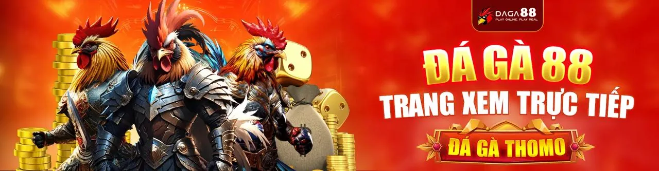 Đá Gà Trực Tuyến Hấp Dẫn tại rr8811 win