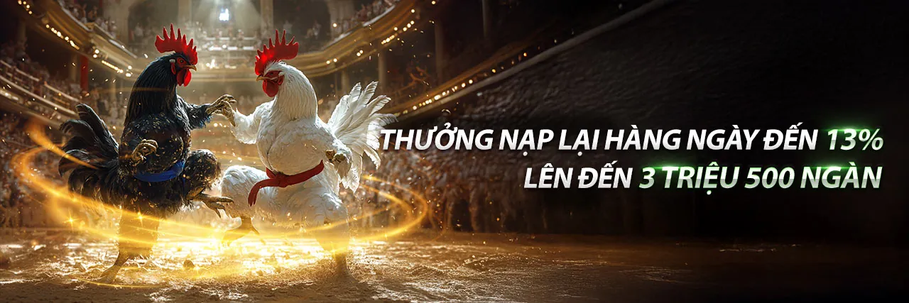 Tin tức mới nhất từ rr8811 win