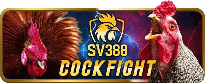 Chương trình VIP rr8811 win